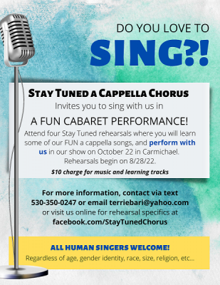Sing and Perform with Stay Tuned A Cappella